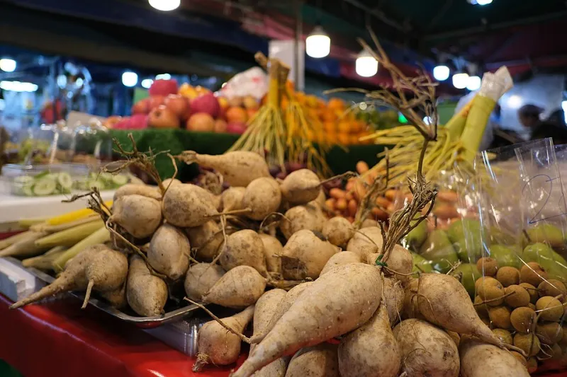 Du potager aux aiguilles : tricoter au rythme des récoltes